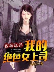宦海沉浮:我的绝色女上司